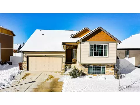 376 Shadowbrook Dr, Windsor, CO 80550 photo 40