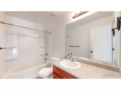 376 Shadowbrook Dr, Windsor, CO 80550 photo 30