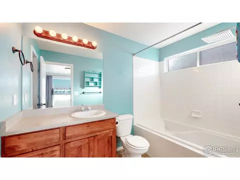 376 Shadowbrook Dr, Windsor, CO 80550 photo 25