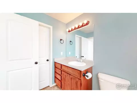 376 Shadowbrook Dr, Windsor, CO 80550 photo 26