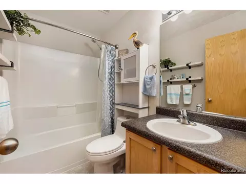 6151 Snowberry Ave, Firestone, CO 80504 photo 26