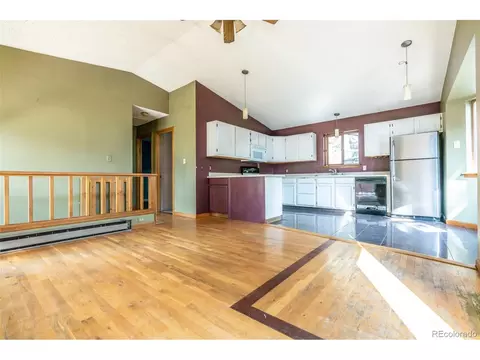 227 Silver Springs Rd, Bailey, CO 80421 photo 16