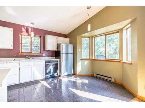 227 Silver Springs Rd, Bailey, CO 80421 photo 19