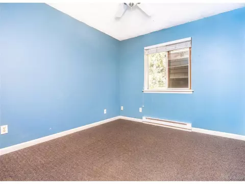 227 Silver Springs Rd, Bailey, CO 80421 photo 23