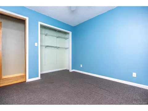 227 Silver Springs Rd, Bailey, CO 80421 photo 24
