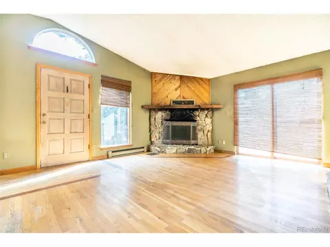 227 Silver Springs Rd, Bailey, CO 80421 photo 13