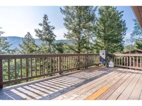 227 Silver Springs Rd, Bailey, CO 80421 photo 9