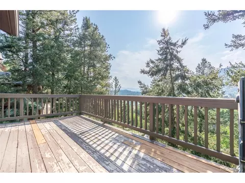 227 Silver Springs Rd, Bailey, CO 80421 photo 10