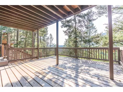 227 Silver Springs Rd, Bailey, CO 80421 photo 12