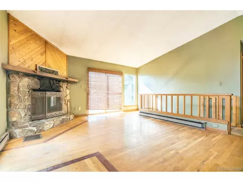 227 Silver Springs Rd, Bailey, CO 80421 photo 14