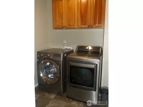 906 Pierson Ct, Windsor, CO 80550 photo 19