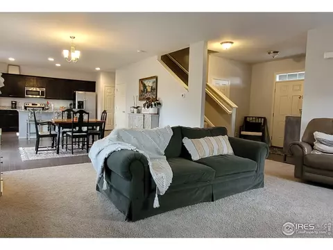 906 Pierson Ct, Windsor, CO 80550 photo 5