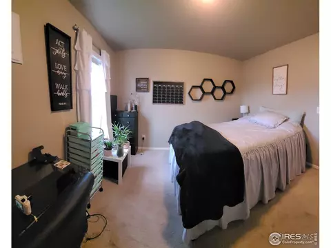 906 Pierson Ct, Windsor, CO 80550 photo 15