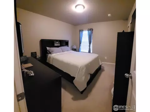 906 Pierson Ct, Windsor, CO 80550 photo 17