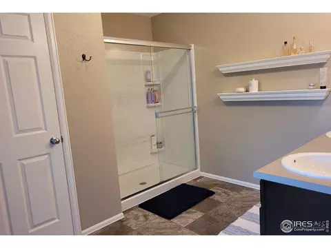 906 Pierson Ct, Windsor, CO 80550 photo 13