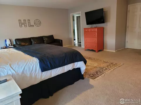 906 Pierson Ct, Windsor, CO 80550 photo 11
