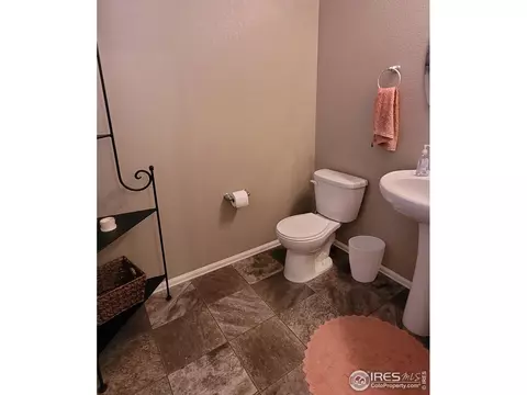 906 Pierson Ct, Windsor, CO 80550 photo 8