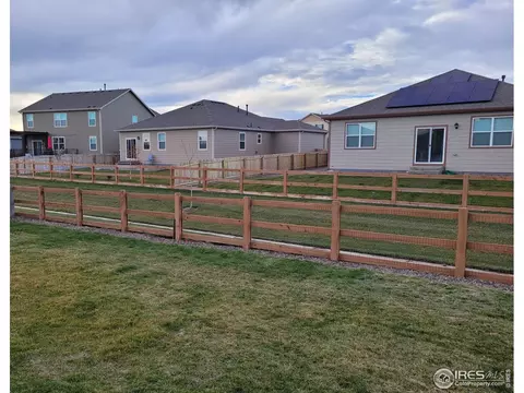 906 Pierson Ct, Windsor, CO 80550 photo 22