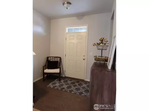 906 Pierson Ct, Windsor, CO 80550 photo 7