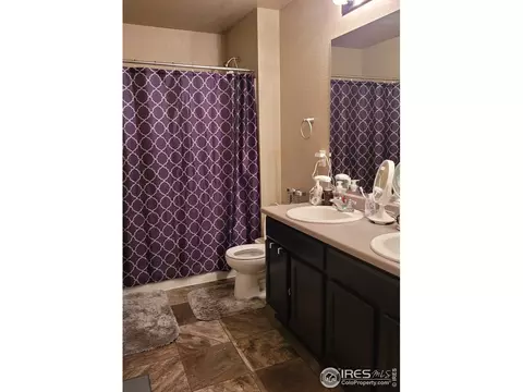 906 Pierson Ct, Windsor, CO 80550 photo 18