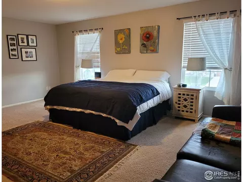 906 Pierson Ct, Windsor, CO 80550 photo 10