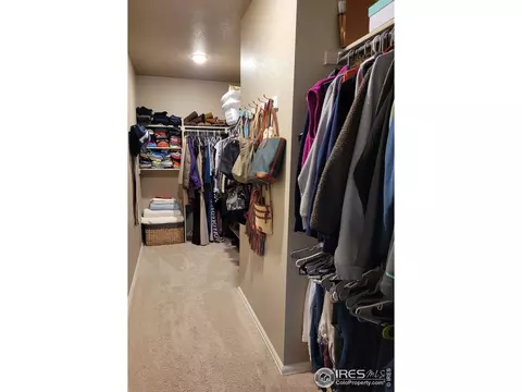 906 Pierson Ct, Windsor, CO 80550 photo 12