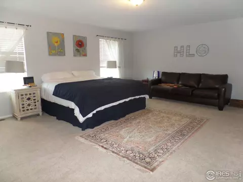 906 Pierson Ct, Windsor, CO 80550 photo 9