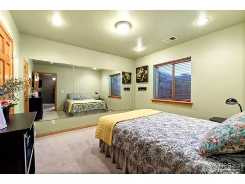 1420 Red Fox Cir, Severance, CO 80550 photo 31