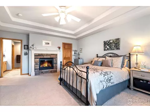 1420 Red Fox Cir, Severance, CO 80550 photo 19