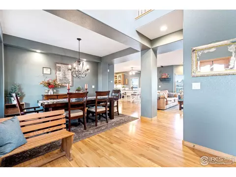 1420 Red Fox Cir, Severance, CO 80550 photo 7