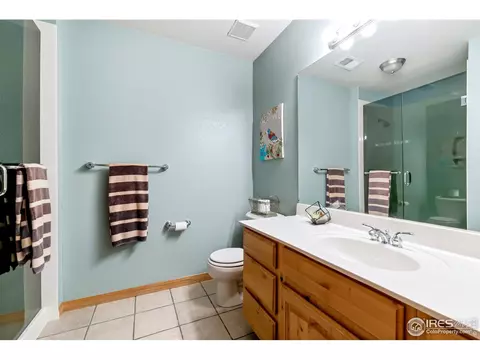 1420 Red Fox Cir, Severance, CO 80550 photo 30
