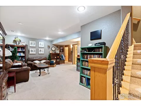 1420 Red Fox Cir, Severance, CO 80550 photo 27
