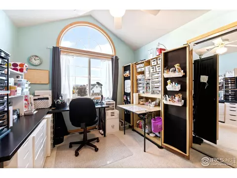 1420 Red Fox Cir, Severance, CO 80550 photo 22