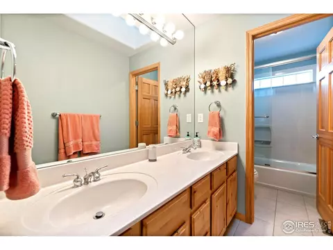 1420 Red Fox Cir, Severance, CO 80550 photo 23
