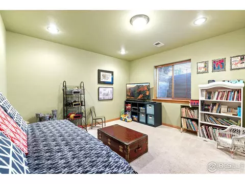 1420 Red Fox Cir, Severance, CO 80550 photo 29