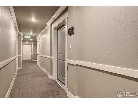 6618 Crystal Downs Dr #103, Windsor, CO 80550 photo 23