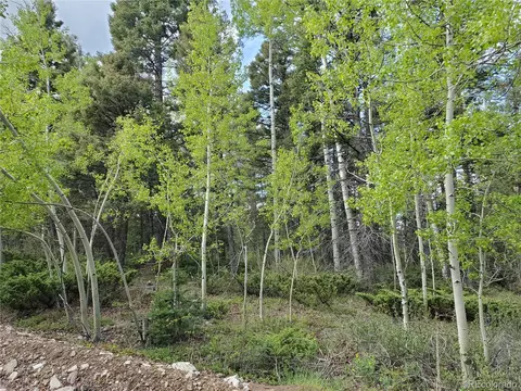 6084 Stella Rd, Fort Garland, CO 81133