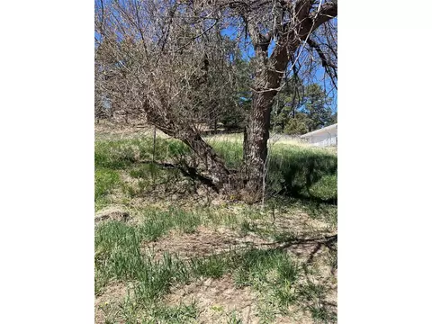 24325 Main St, Elbert, CO 80106 photo 13