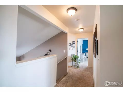 11431 Cherryvale St, Firestone, CO 80504 photo 15
