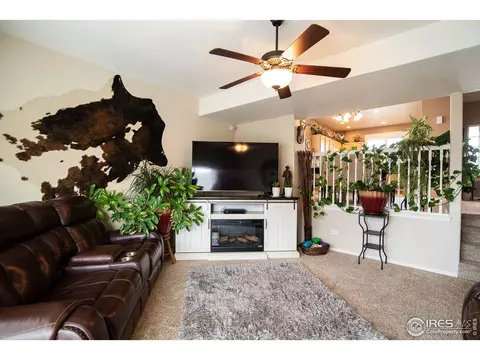 11431 Cherryvale St, Firestone, CO 80504 photo 10