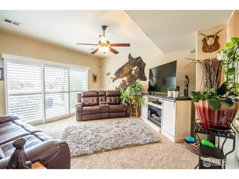 11431 Cherryvale St, Firestone, CO 80504 photo 11