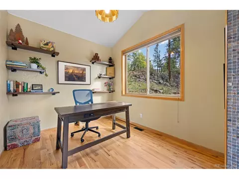 11665 S Upper Ranch Dr, Pine, CO 80470 photo 20