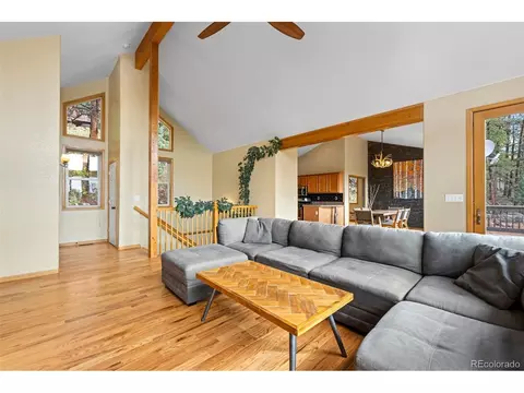 11665 S Upper Ranch Dr, Pine, CO 80470 photo 11