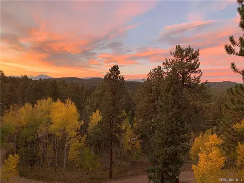 11665 S Upper Ranch Dr, Pine, CO 80470 photo 4