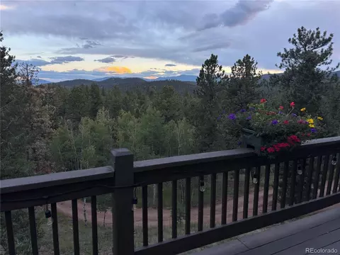 11665 S Upper Ranch Dr, Pine, CO 80470 photo 5