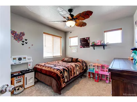3007 Canvasback Ct, Evans, CO 80620 photo 20
