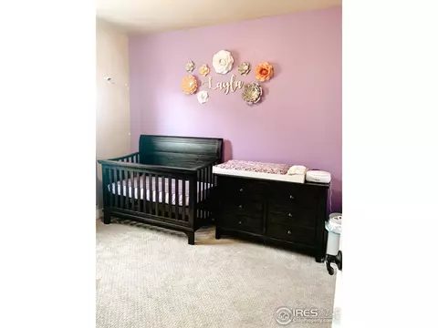 3218 Barbera St, Greeley, CO 80634 photo 17