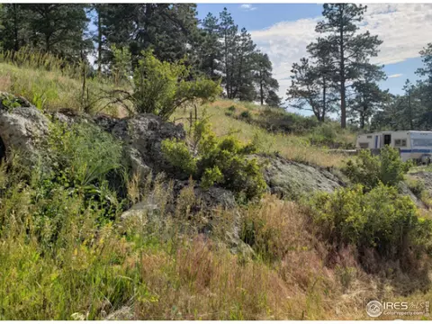 247 Chipmunk Pl, Drake, CO 80515 photo 6