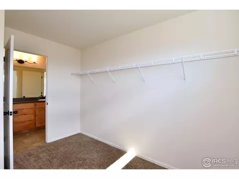 1115 Tur St, Severance, CO 80550 photo 27