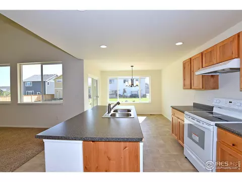 1115 Tur St, Severance, CO 80550 photo 12